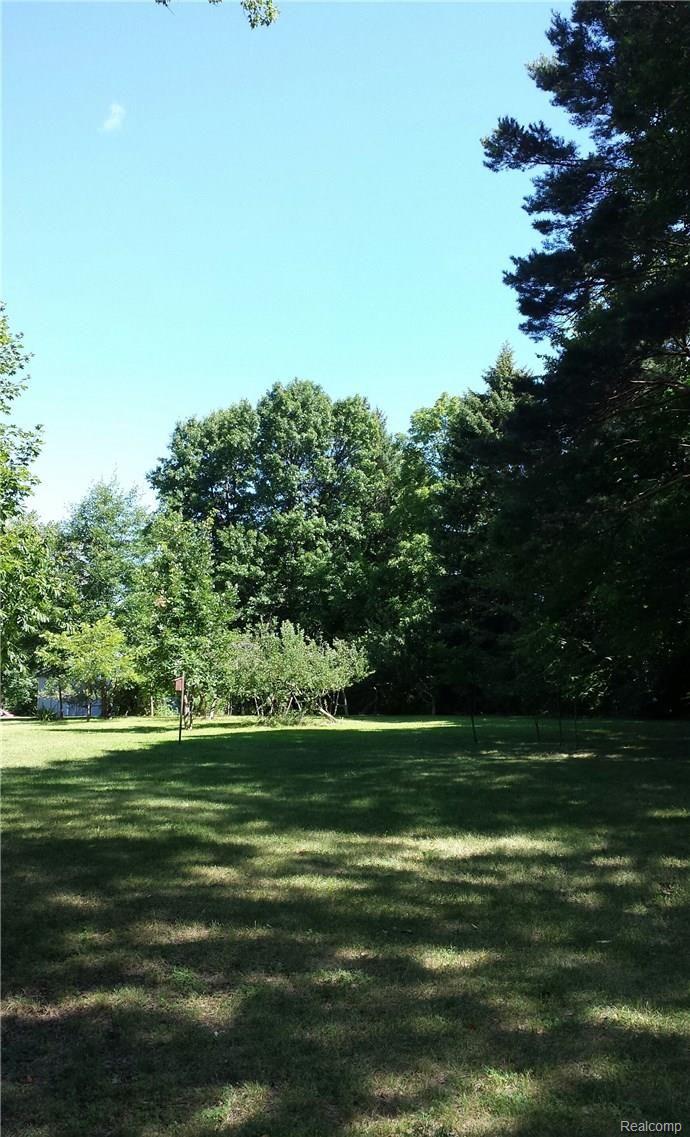 10405 North Rushton Road North South Lyon, MI 48178 - Photo 28 of 28 backyard tree line