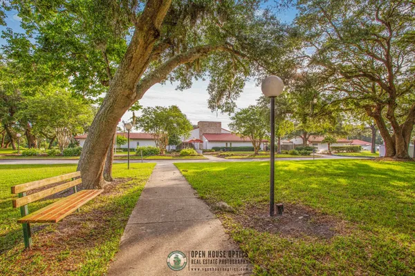 a park view with a tree