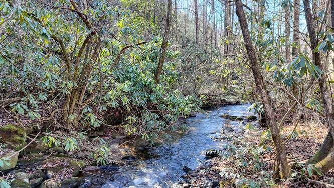 2830 Owl Creek Road Murphy, NC 28906 - Photo 5 of 63