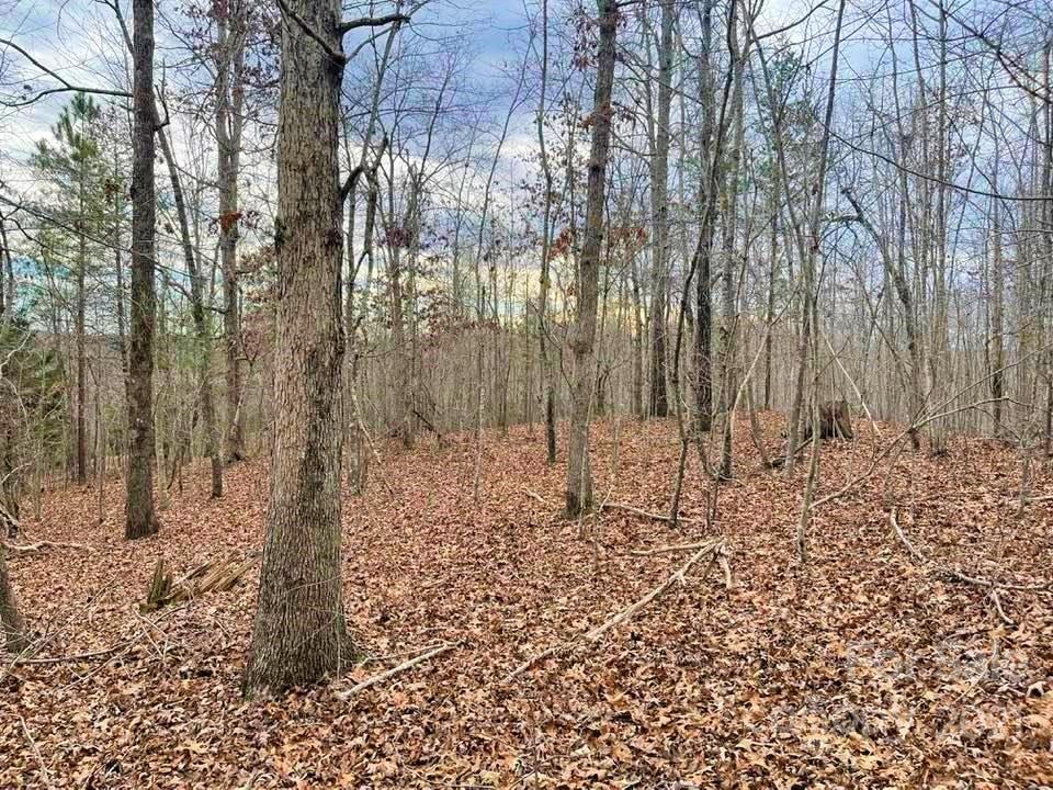 0 Cross Ridge Drive, Unit 120 Rutherfordton, NC 28139 - Photo 19 of 26 a view of wooden fence