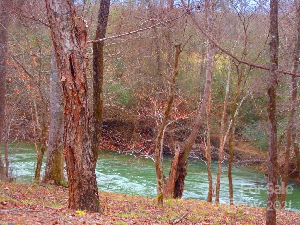 0 Cross Ridge Drive, Unit 120 Rutherfordton, NC 28139 - Photo 24 of 26 a view of a trees in a yard