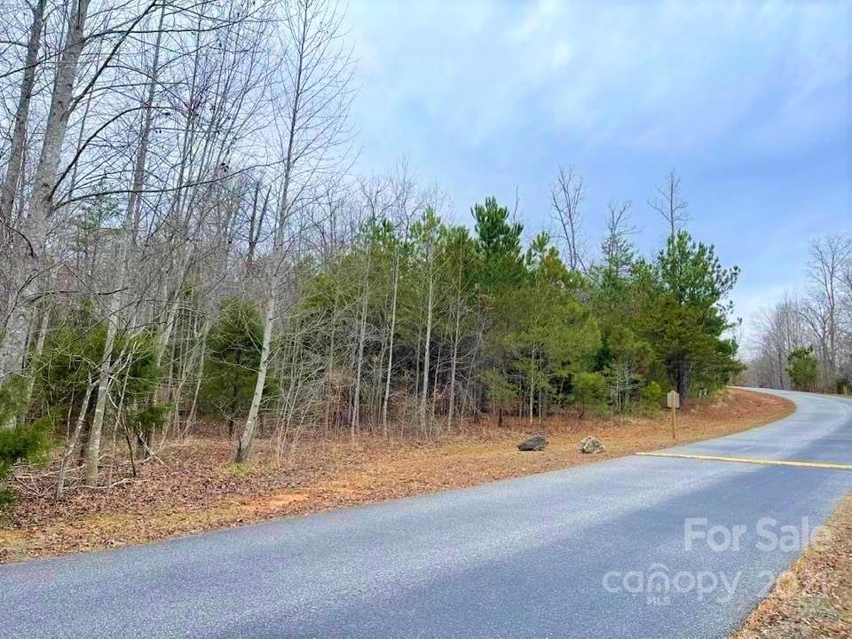 0 Cross Ridge Drive, Unit 120 Rutherfordton, NC 28139 - Photo 3 of 26 a backyard of a house with lots of green space