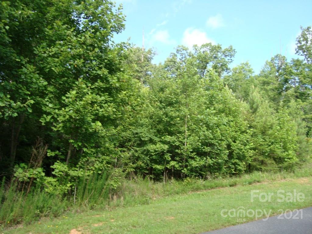 0 Cross Ridge Drive, Unit 120 Rutherfordton, NC 28139 - Photo 6 of 26 a view of a lush green space