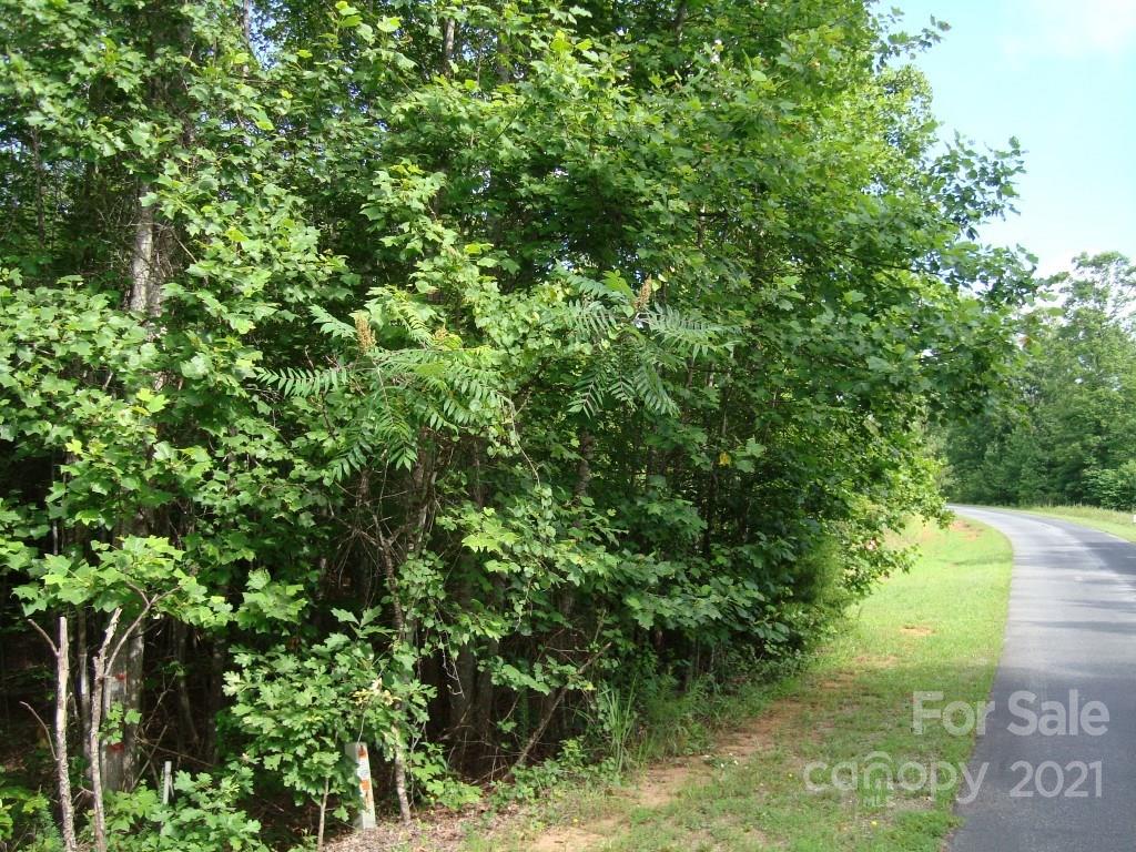 0 Cross Ridge Drive, Unit 120 Rutherfordton, NC 28139 - Photo 8 of 26 a view of a yard