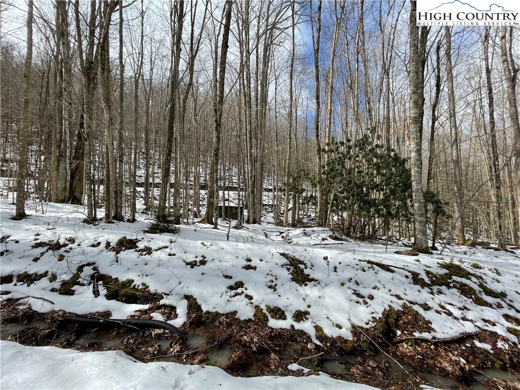 Lot 8 Buckeye Ridge Road Beech Mountain, NC 28604 - Photo 2 of 3 Gallery Image 2