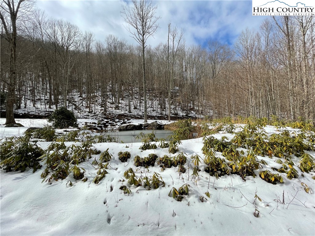 Lot 8 Buckeye Ridge Road Beech Mountain, NC 28604 - Photo 3 of 3 Gallery Image 3