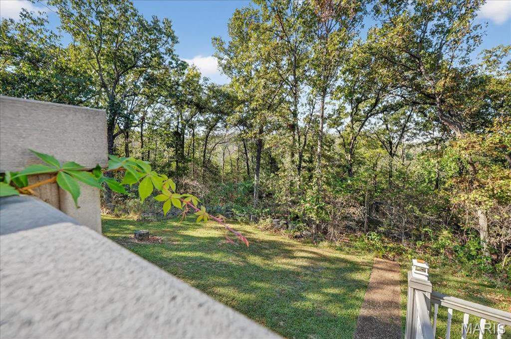 5600 Forest Drive Hillsboro, MO 63050 - Photo 34 of 44