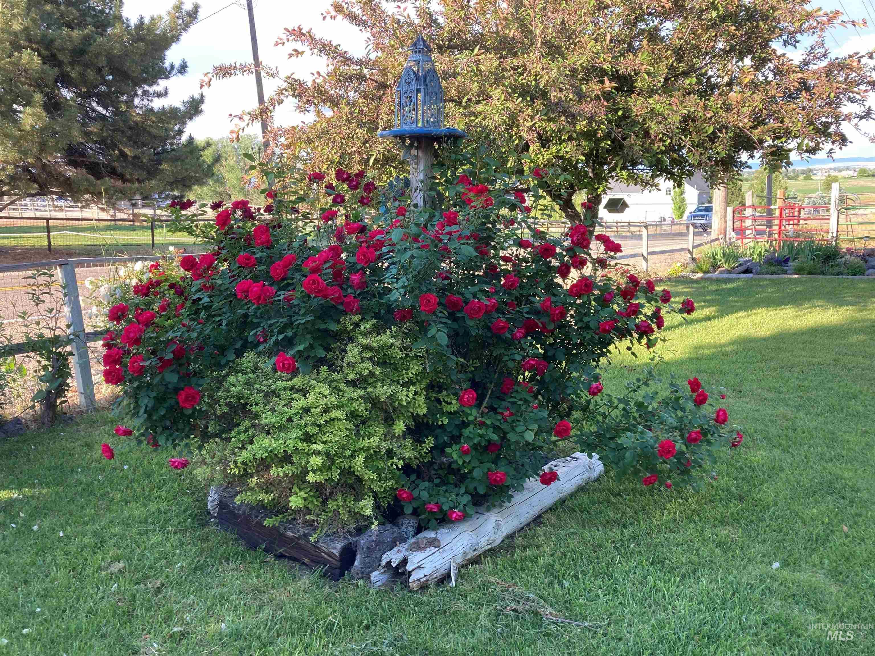 603 East King Road Kuna, ID 83634 - Photo 20 of 22 Summer Flowers