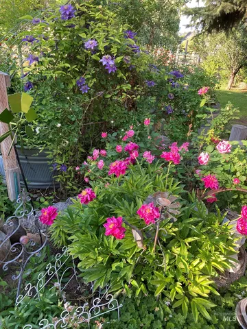 $1,250,000 | 603 East King Road, Kuna, ID 83634