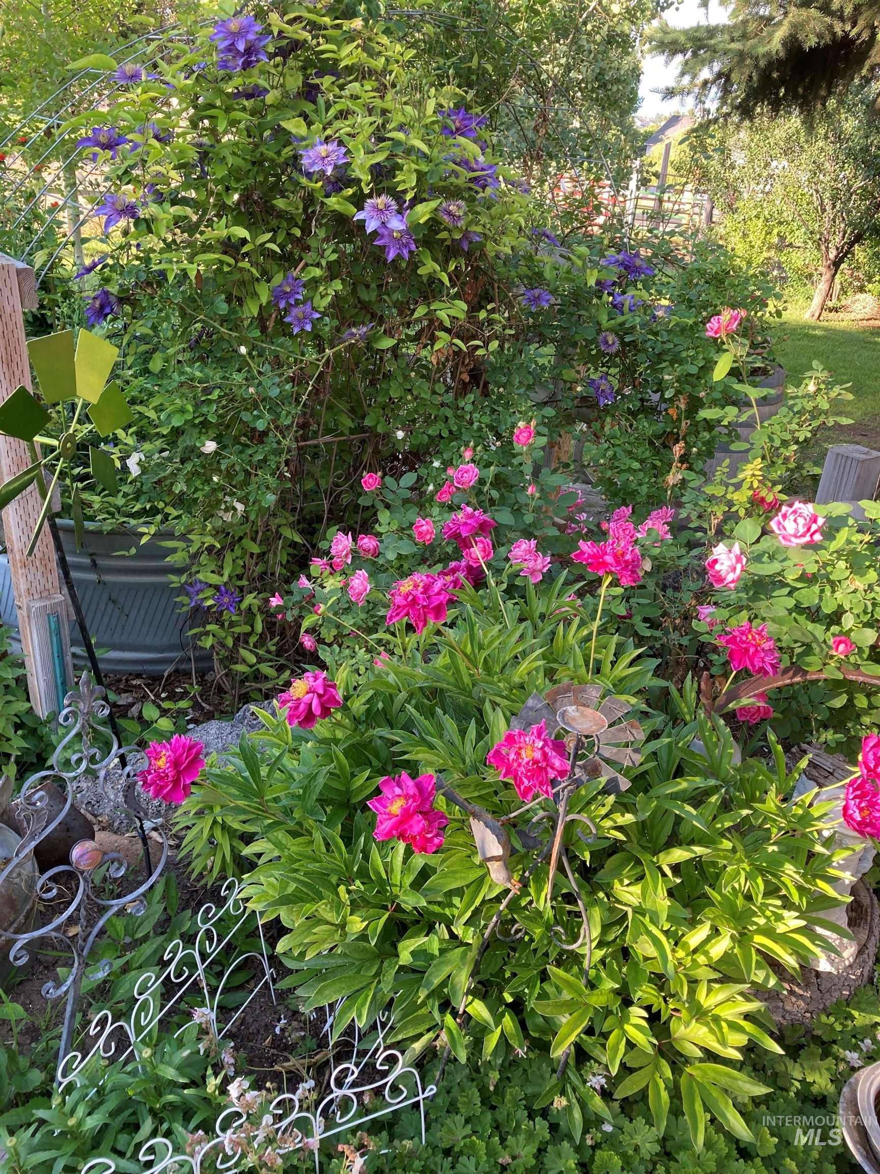 603 East King Road Kuna, ID 83634 - Photo 21 of 22 Summer flowers