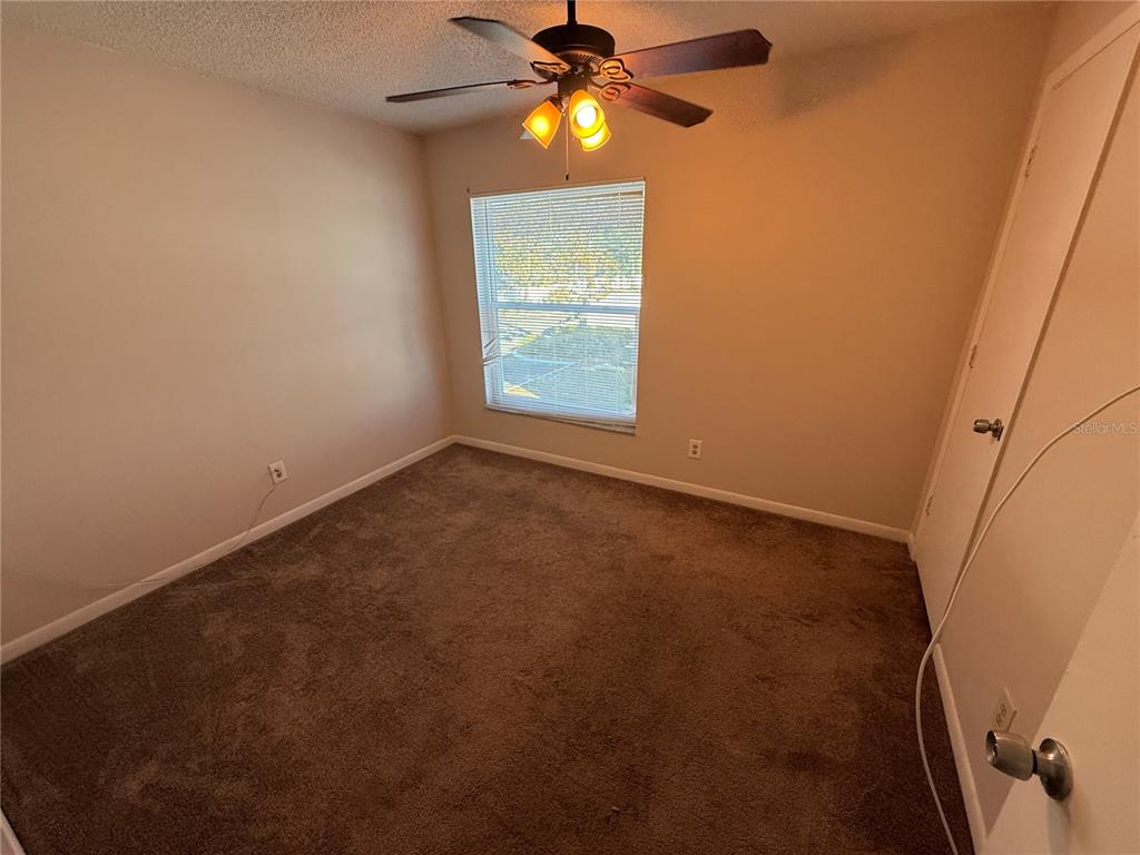 5120 East Temple Heights Road, Unit D Tampa, FL 33617 - Photo 14 of 14 a view of empty room with windows