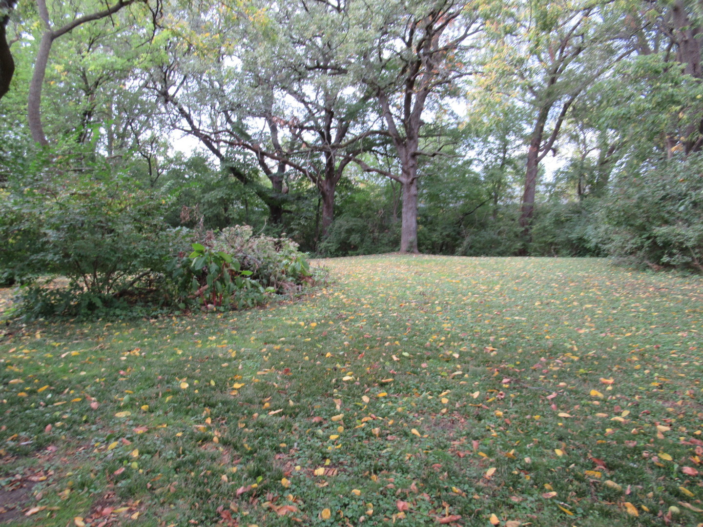 381 Sullivan Road North Aurora, IL 60542 - Photo 26 of 29 a view of an outdoor space and a yard