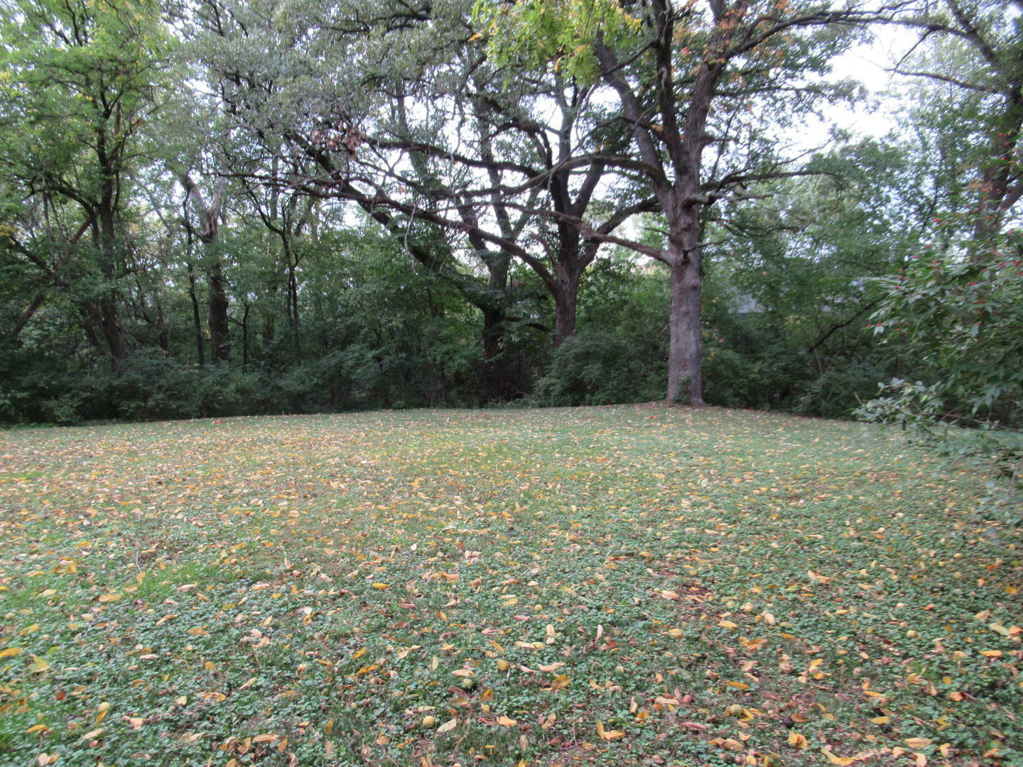 381 Sullivan Road North Aurora, IL 60542 - Photo 27 of 29 a view of outdoor space