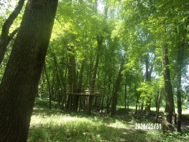 $180,000 | 1898 County Road 1850 North, Watseka, IL 60970