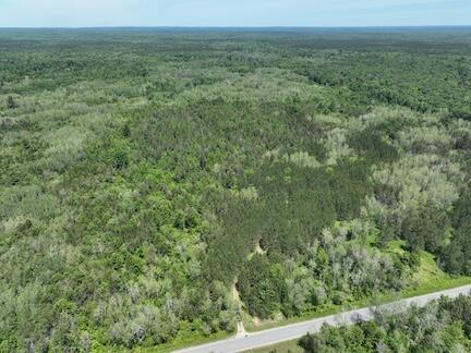 13 West 13 Mile Road, Unit PAR A Bitely, MI 49309 - Photo 1 of 15