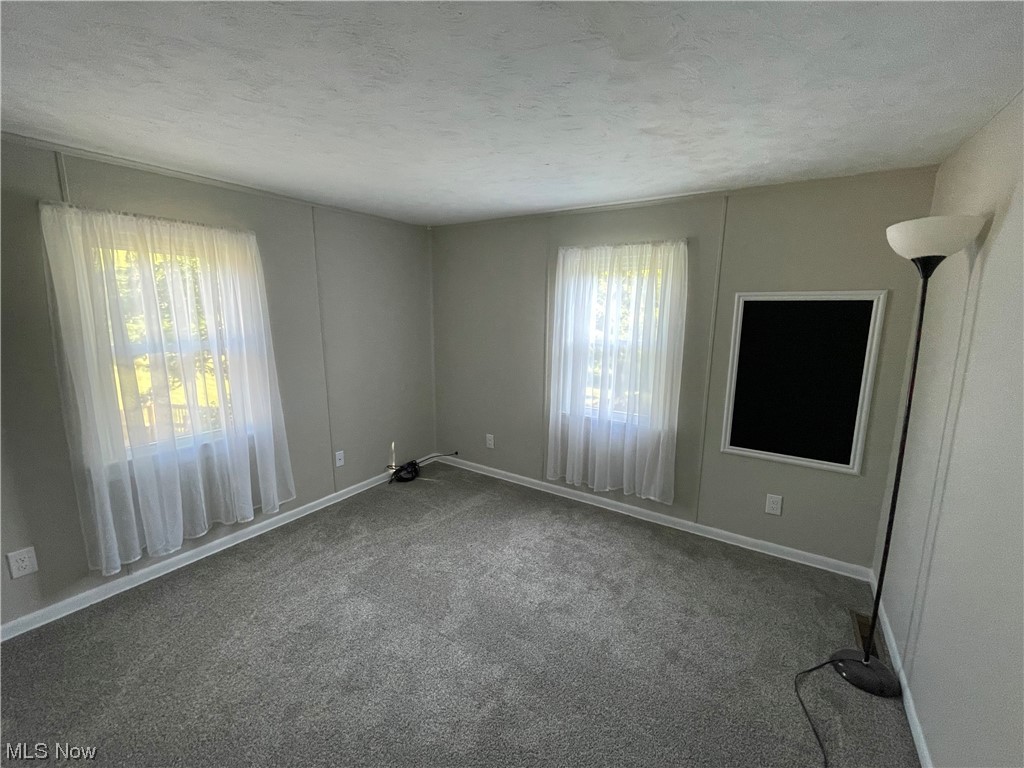 7114 Risden Road Vermilion, OH 44089 - Photo 32 of 35 Spare room with carpet floors, plenty of natural light, and a textured ceiling