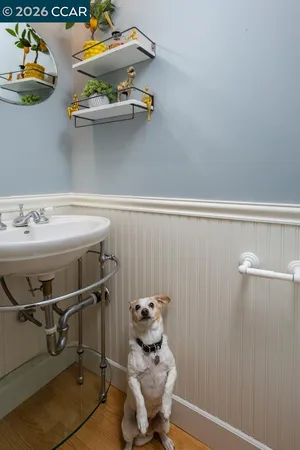 a bathroom with a sink and lots of potted plants