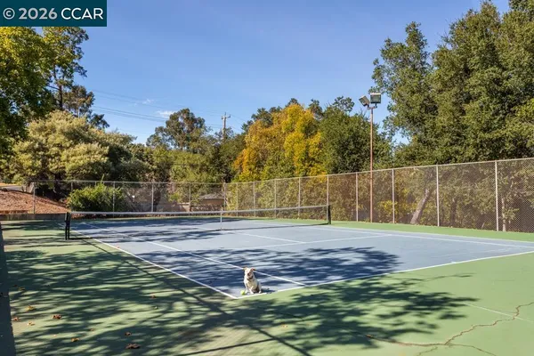 a view of a basketball court