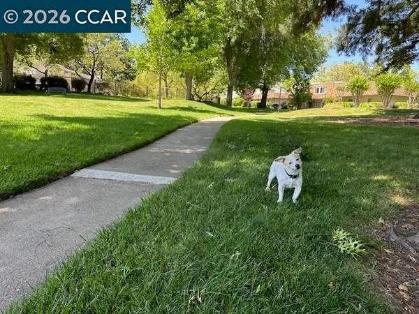 a view of a park with welcome board