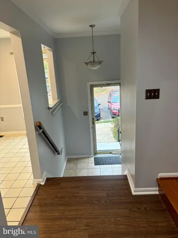 a view of a yard with plants and large trees