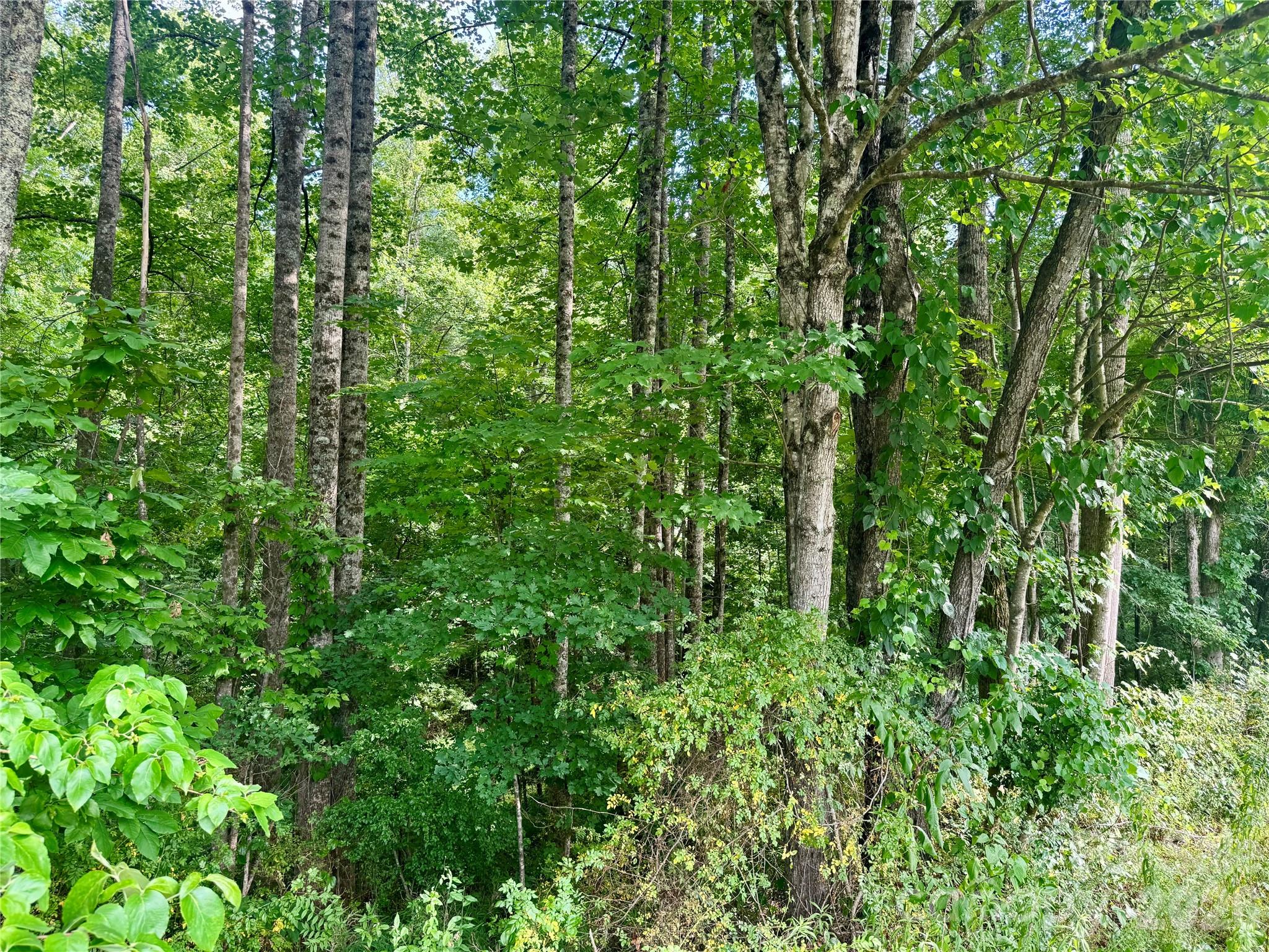 2874 Huffman Road Lenoir, NC 28645 - Photo 4 of 14