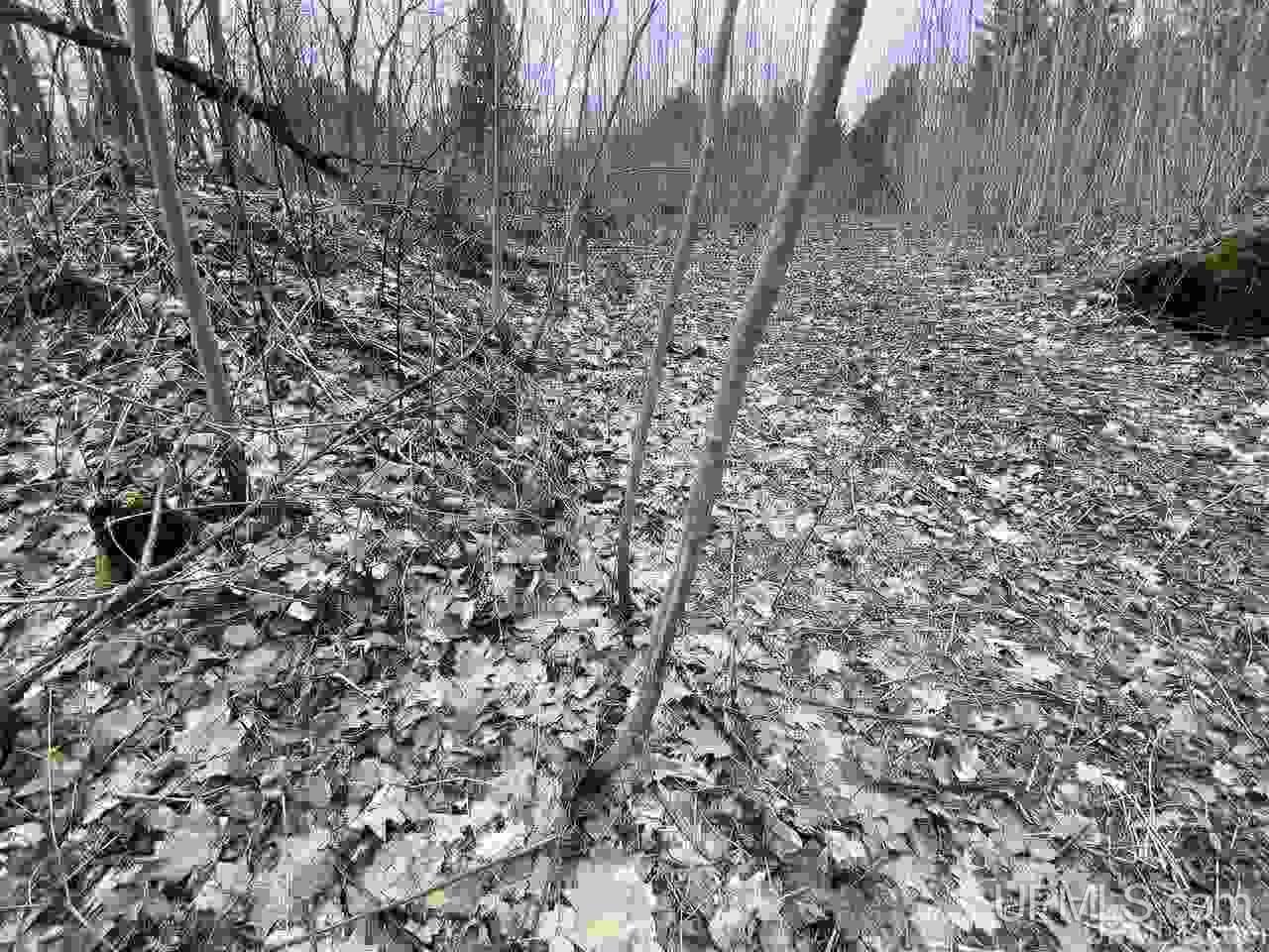 Tbd Plains Cutoff Road Baraga, MI 49908 - Photo 24 of 49