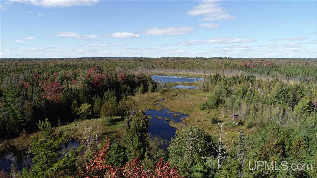 1480 Acres On Co Road Manistique, MI 49854 - Photo 36 of 49