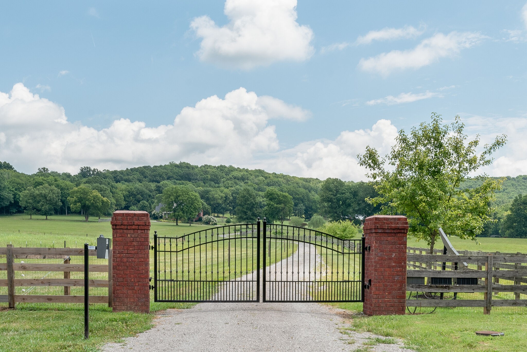 947 Patton Hollow Road Watertown, TN 37184 - Photo 4 of 48 Gallery Image 4