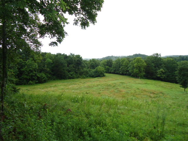 21.34-acre Baptist Ridge Road Hilham, TN 38568 - Photo 1 of 35 01