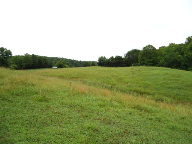 21.34-acre Baptist Ridge Road Hilham, TN 38568 - Photo 2 of 35 01a
