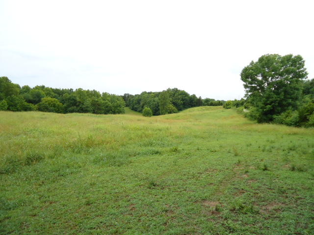 21.34-acre Baptist Ridge Road Hilham, TN 38568 - Photo 13 of 35 12
