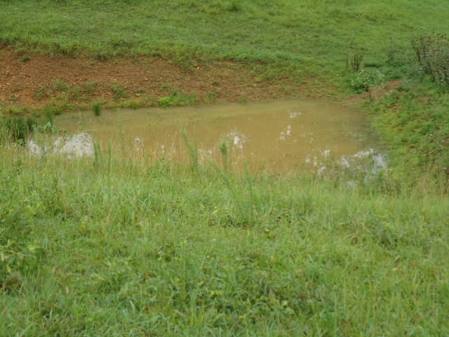 21.34-acre Baptist Ridge Road Hilham, TN 38568 - Photo 15 of 35 14