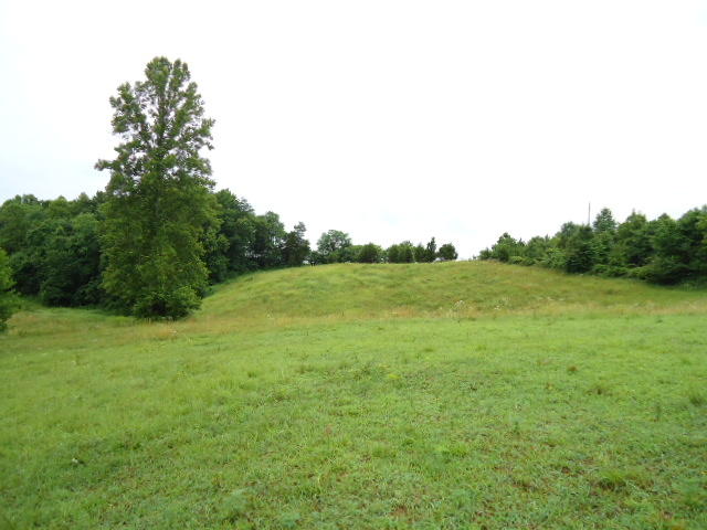 21.34-acre Baptist Ridge Road Hilham, TN 38568 - Photo 16 of 35 15