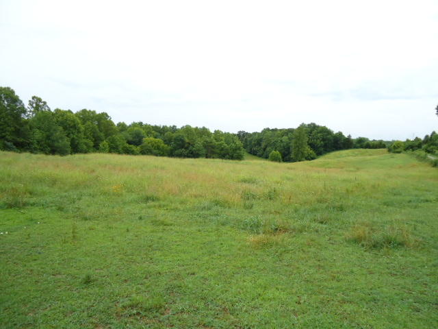 21.34-acre Baptist Ridge Road Hilham, TN 38568 - Photo 17 of 35 16