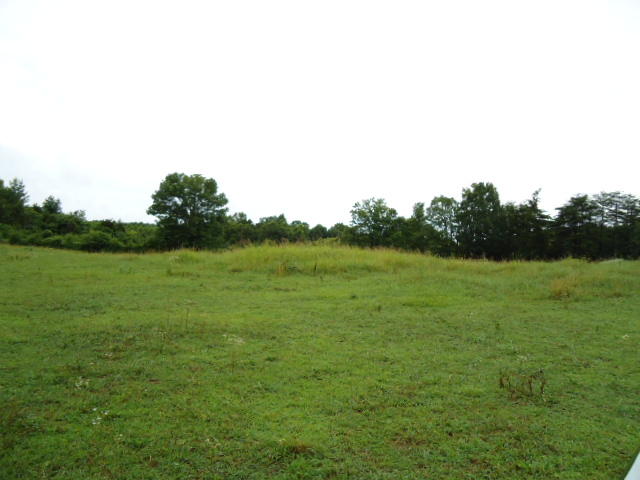 21.34-acre Baptist Ridge Road Hilham, TN 38568 - Photo 18 of 35 17