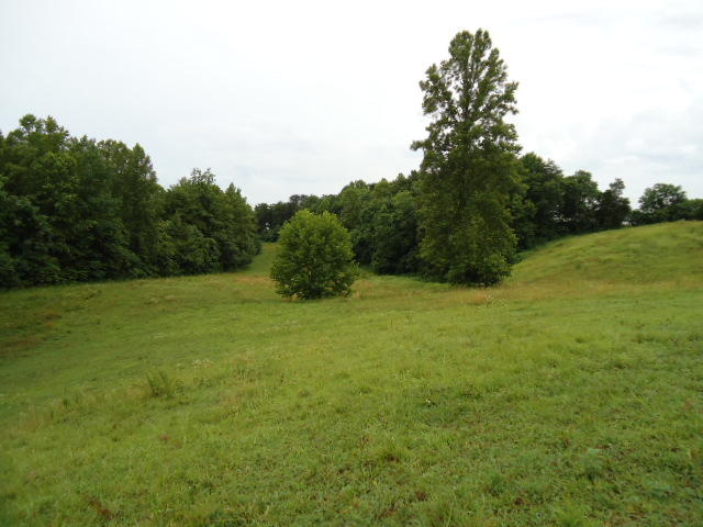 21.34-acre Baptist Ridge Road Hilham, TN 38568 - Photo 19 of 35 18