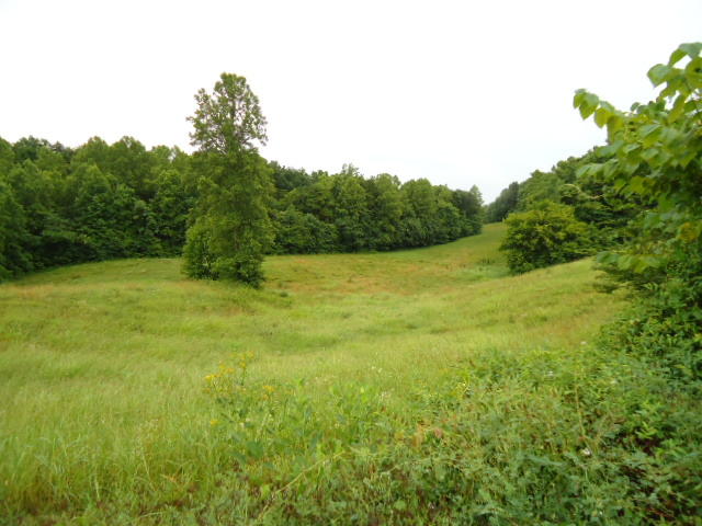 21.34-acre Baptist Ridge Road Hilham, TN 38568 - Photo 20 of 35 19