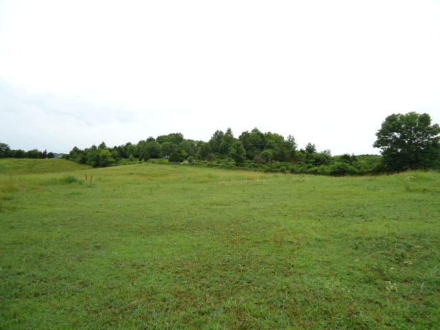 21.34-acre Baptist Ridge Road Hilham, TN 38568 - Photo 3 of 35 02
