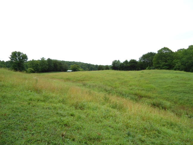 21.34-acre Baptist Ridge Road Hilham, TN 38568 - Photo 21 of 35 20