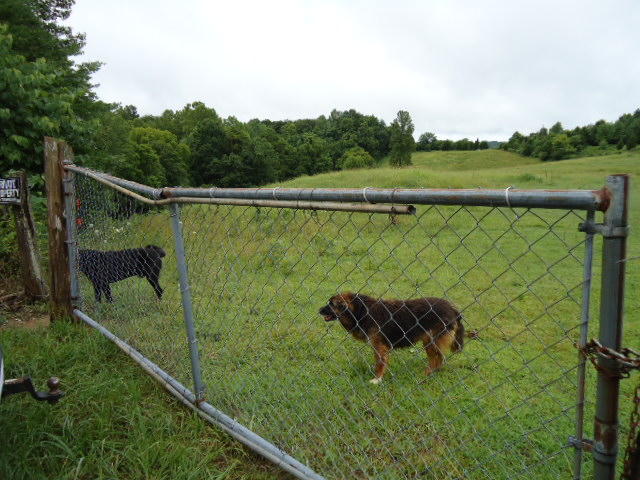 21.34-acre Baptist Ridge Road Hilham, TN 38568 - Photo 22 of 35 21