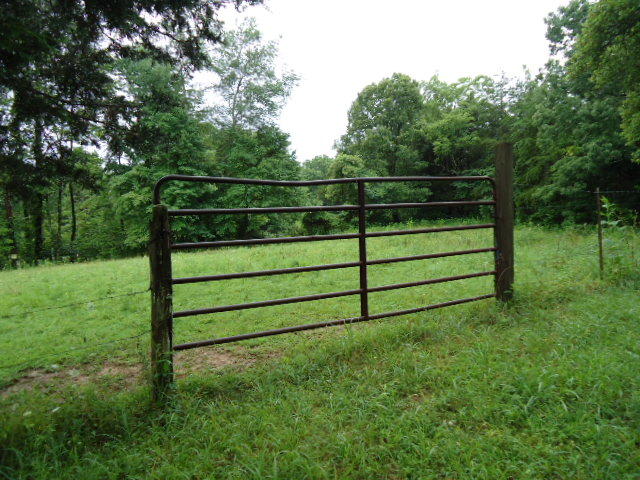 21.34-acre Baptist Ridge Road Hilham, TN 38568 - Photo 23 of 35 22