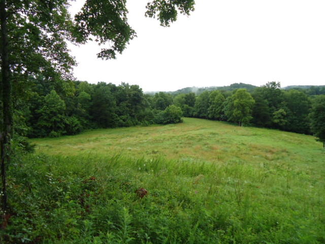 21.34-acre Baptist Ridge Road Hilham, TN 38568 - Photo 24 of 35 23