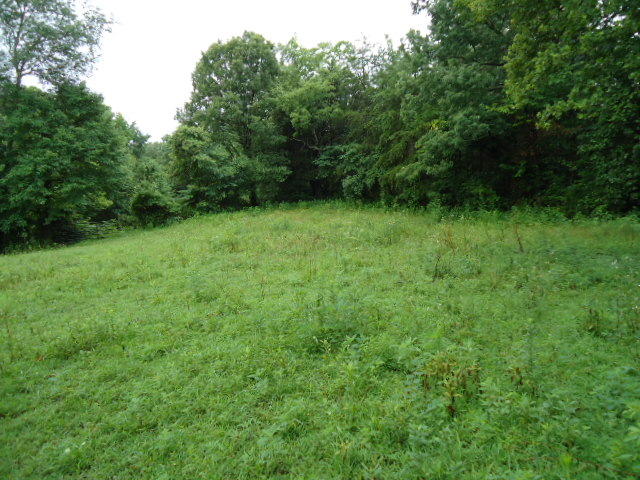 21.34-acre Baptist Ridge Road Hilham, TN 38568 - Photo 25 of 35 24