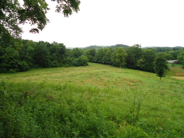 21.34-acre Baptist Ridge Road Hilham, TN 38568 - Photo 26 of 35 25