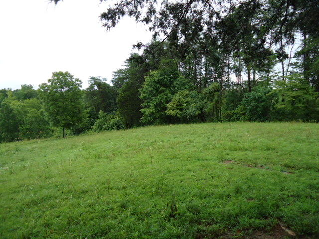 21.34-acre Baptist Ridge Road Hilham, TN 38568 - Photo 27 of 35 26