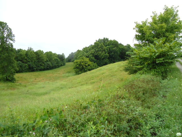 21.34-acre Baptist Ridge Road Hilham, TN 38568 - Photo 29 of 35 28