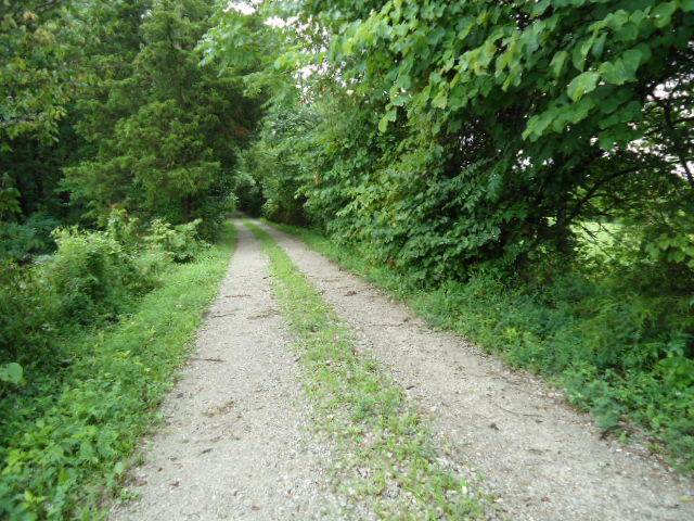 21.34-acre Baptist Ridge Road Hilham, TN 38568 - Photo 30 of 35 29