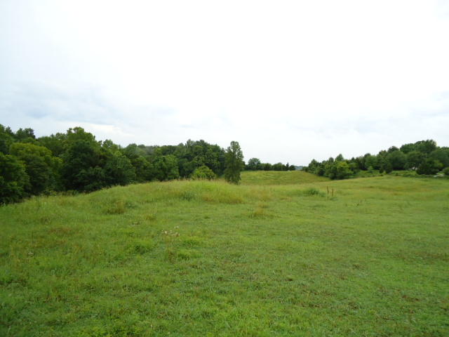 21.34-acre Baptist Ridge Road Hilham, TN 38568 - Photo 4 of 35 03