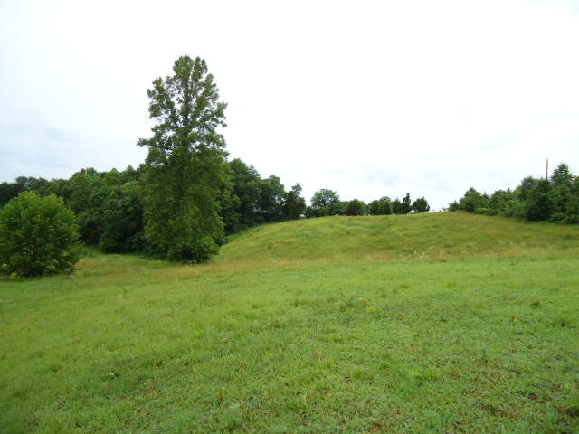 21.34-acre Baptist Ridge Road Hilham, TN 38568 - Photo 5 of 35 04