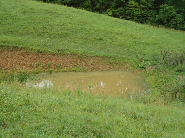 21.34-acre Baptist Ridge Road Hilham, TN 38568 - Photo 6 of 35 05